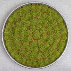 Bülbül Yuvası Baklava